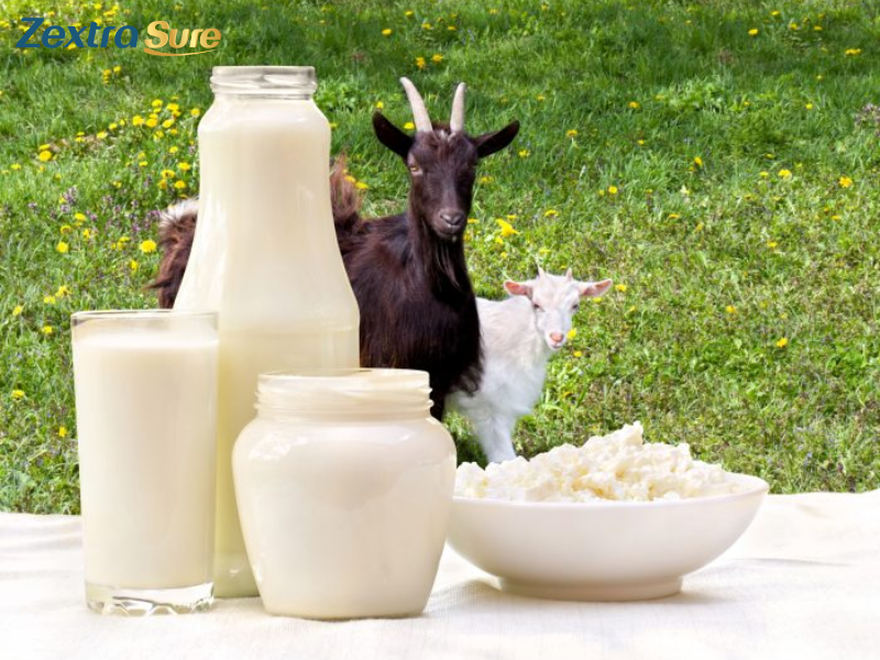 is-goat-milk-dairy (2)